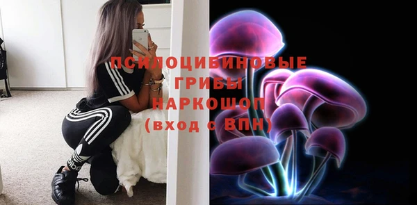синтетический гашиш Арсеньев