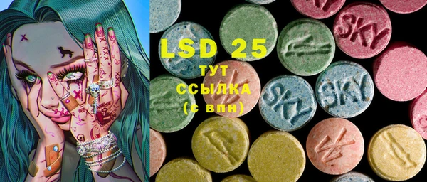 spice Аркадак