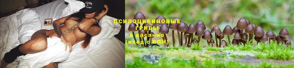 синтетический гашиш Арсеньев