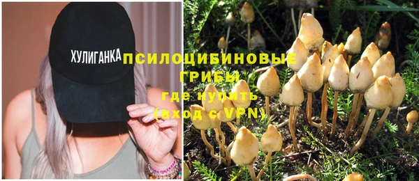 spice Аркадак