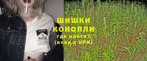spice Аркадак